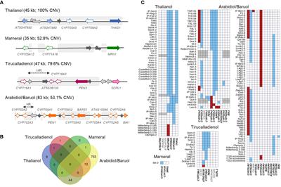 Frontiers | Analysis Of Arabidopsis Non-reference Accessions Reveals ...